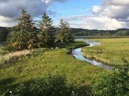 pic of stream running throuh marsh near trail, blu sky and clouds in background