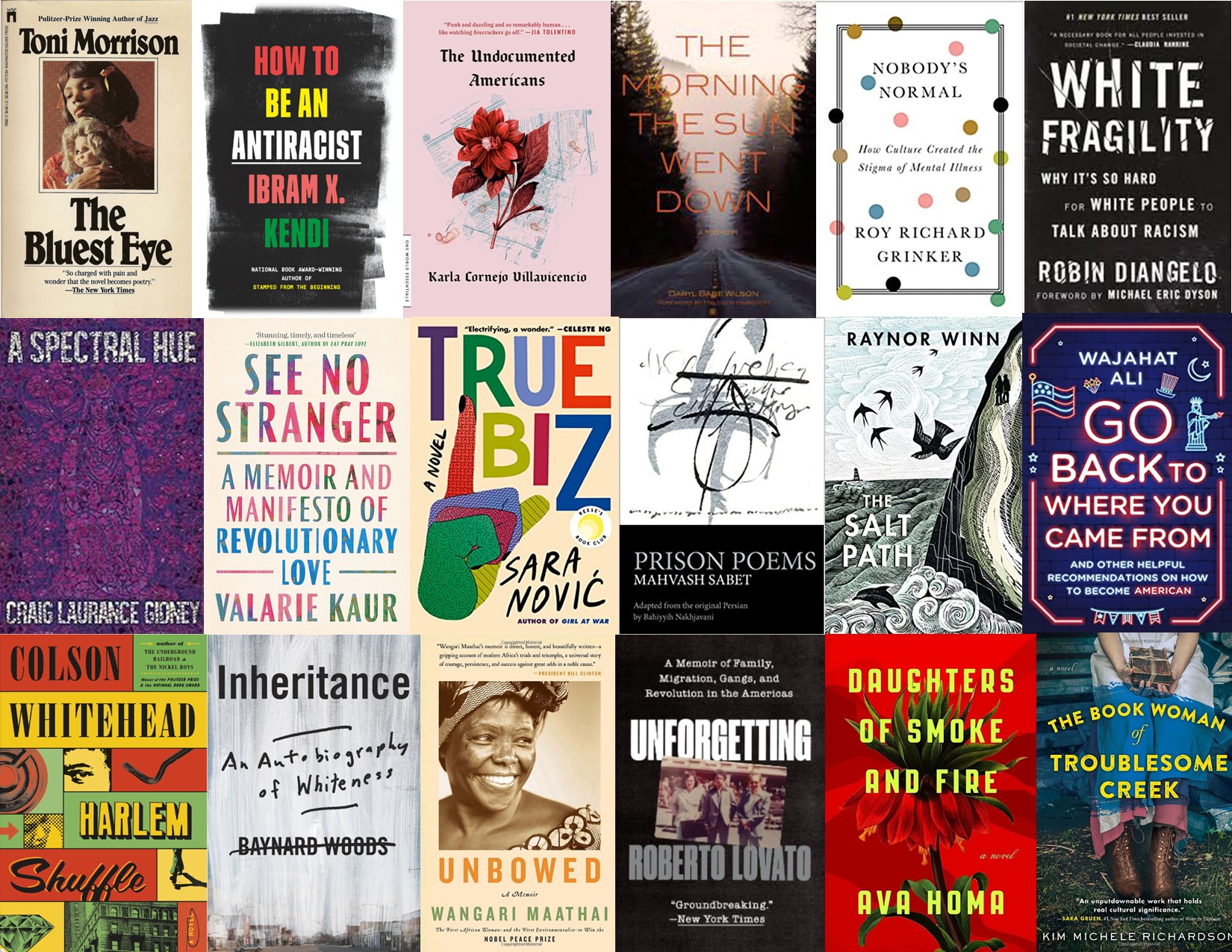 Collage of covers from books we've read: Bluest Eye, How to Be an Antiracist, Undocumented Americans, The morning the Sun Went Down, Nobody's Normal, White Fragility, A Special Hue, See No Stranger, True Biz, Prison Poems, Salt Path, Go Back to Where You Came From, Harlem Shuffle, Inheritance, Unbowed, Unforgetting, Daughters of Smoke and Fire, The Book Woman of Troublesome Creek.