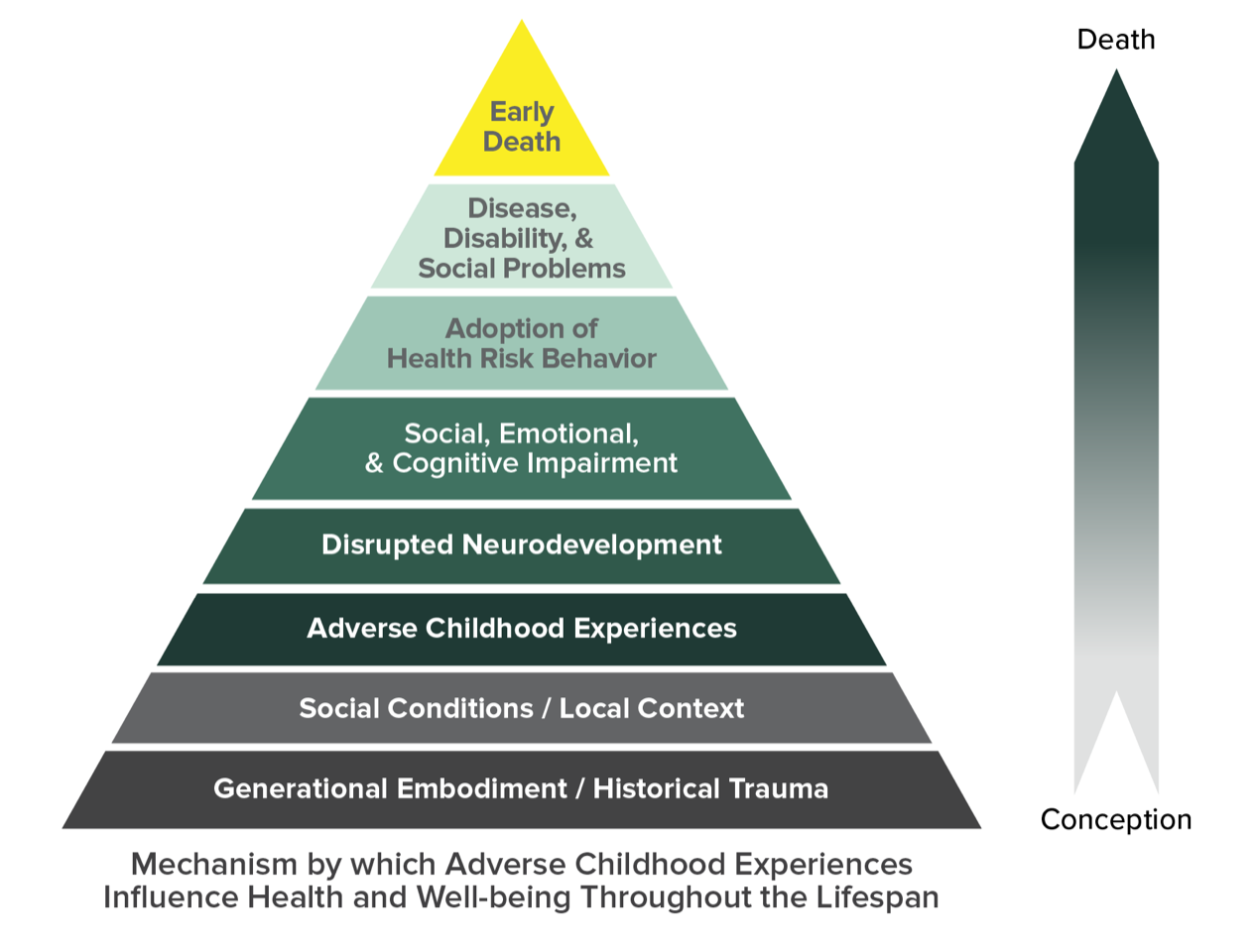 Pyramid showing how ACEs influences health and well-being