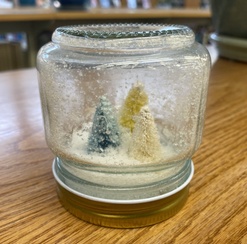 Photo of example Winterrarium craft