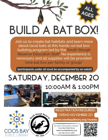 BUILD A BAT BOX