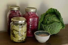 Sauerkraut Fermented Cabbage