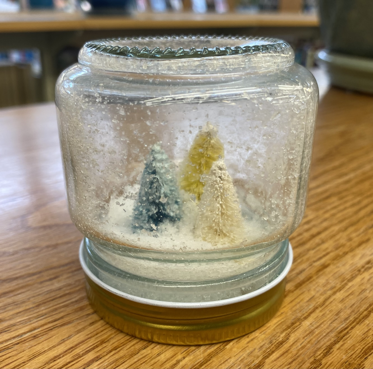 Photo of example Winterrarium craft