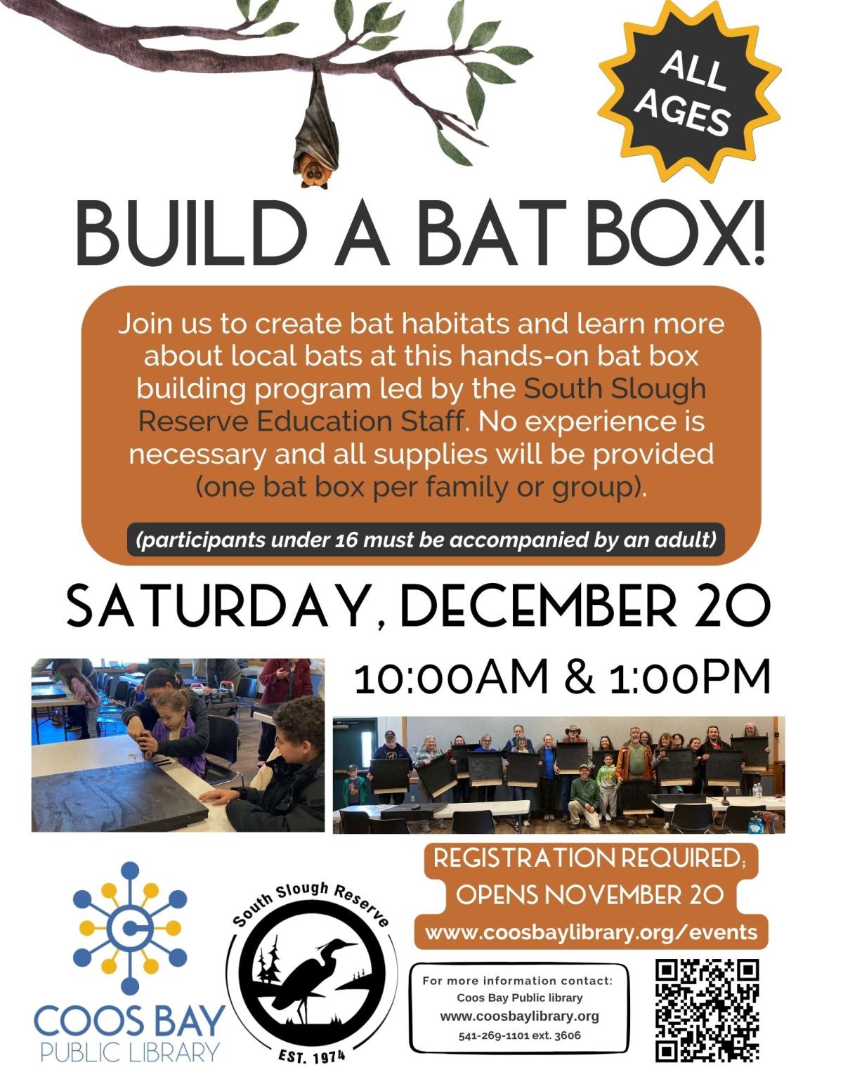 BUILD A BAT BOX
