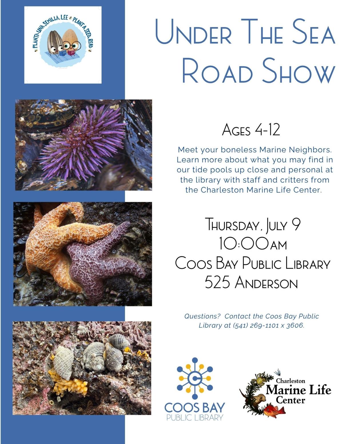 Under the Sea with the Charleston Marine Life Center 10am